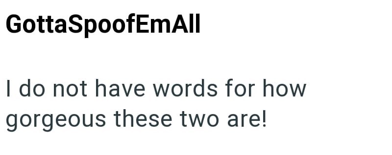 GottaSpoofEmAll I do not have words for how gorgeous these two are!