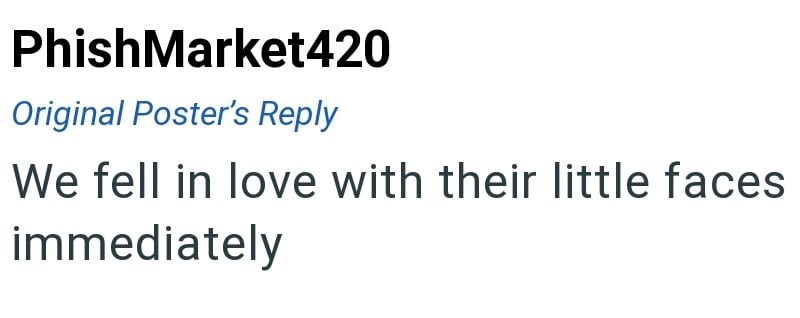 PhishMarket420 Original Poster's Reply We fell in love with their little faces immediately