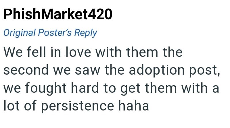 PhishMarket420 Original Poster's Reply We fell in love with them the second we saw the adoption post, we fought hard to get them with a lot of persistence haha