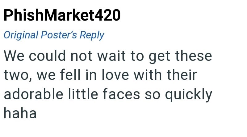 PhishMarket420 Original Poster's Reply We could not wait to get these two, we fell in love with their adorable little faces so quickly haha