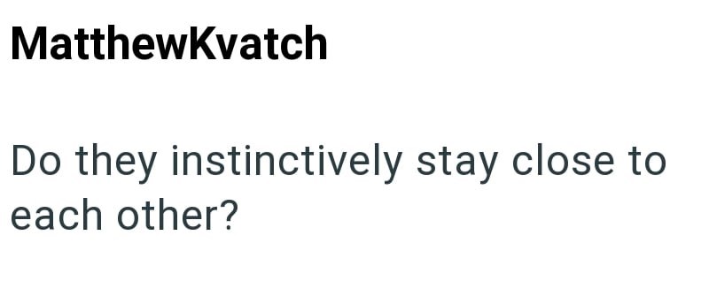 MatthewKvatch Do they instinctively stay close to each other?