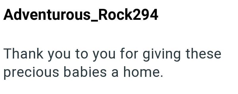 Adventurous_Rock294 Thank you to you for giving these precious babies a home.