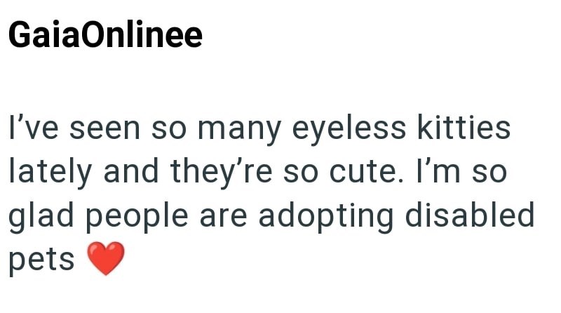 GaiaOnlinee I've seen so many eyeless kitties lately and they're so cute. I'm so glad people are adopting disabled pets