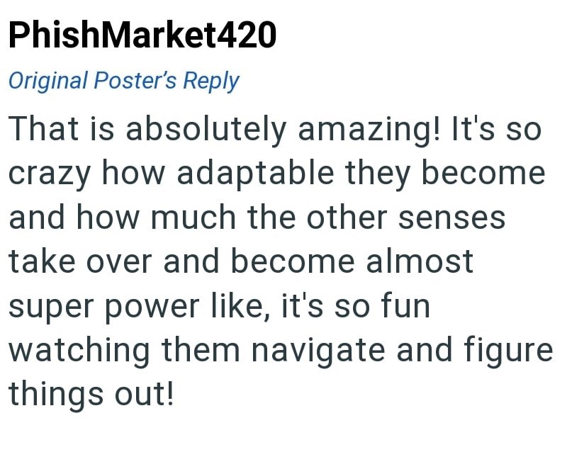 PhishMarket420 Original Poster's Reply That is absolutely amazing! It's so crazy how adaptable they become and how much the other senses take over and become almost super power like, it's so fun watching them navigate and figure things out!
