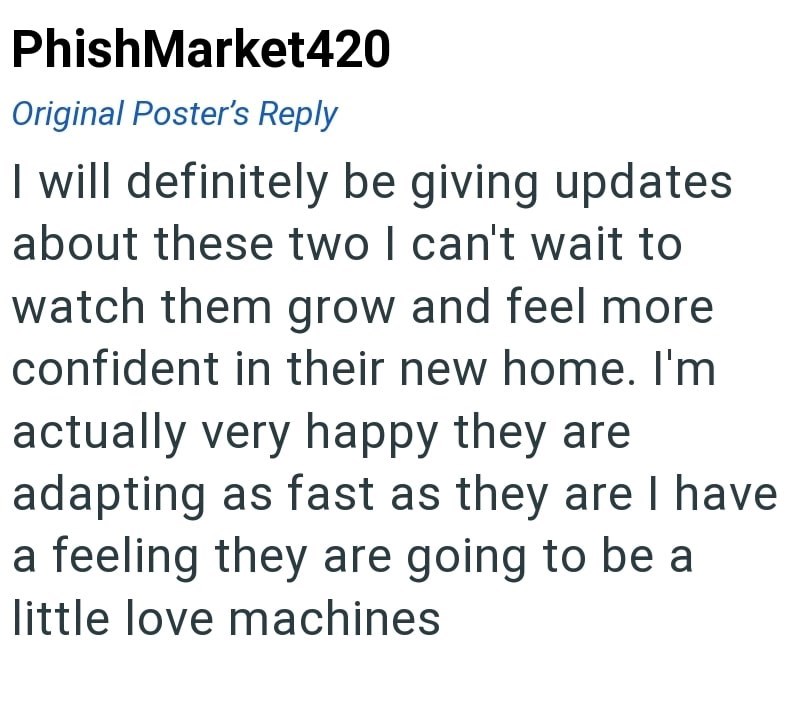 PhishMarket420 Original Poster's Reply I will definitely be giving updates about these two I can't wait to watch them grow and feel more confident in their new home. I'm actually very happy they are adapting as fast as they are I have a feeling they are going to be a little love machines