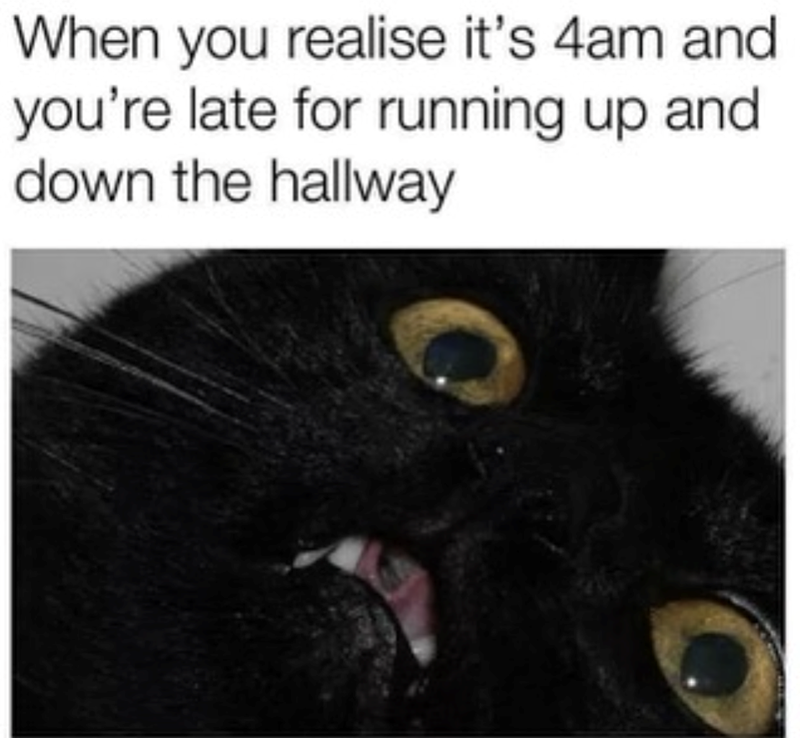 When you realise it's 4am and you're late for running up and down the hallway