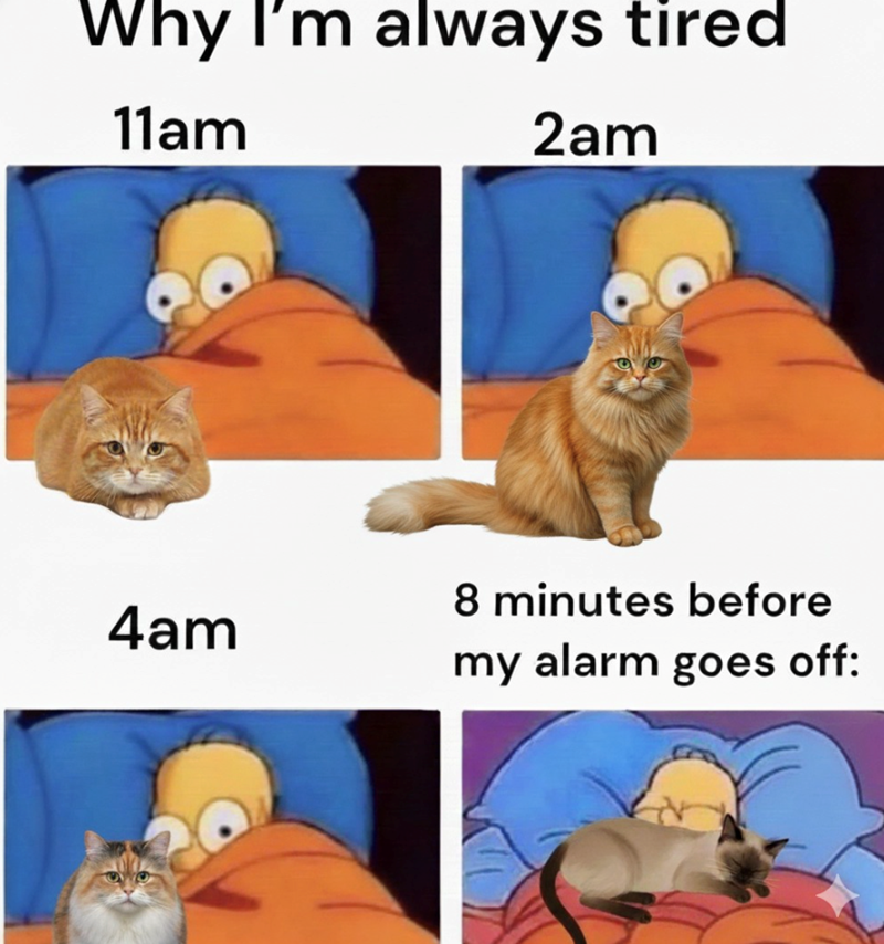 Why I'm always tired 11am 2am 8 minutes before 4am my alarm goes off: