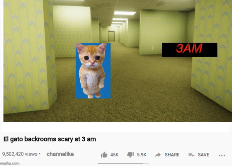 El gato backrooms scary at 3 am 9,502,420 viewschannelike imgflip.com ЗАМ 45K 5.9K SHARE SAVE