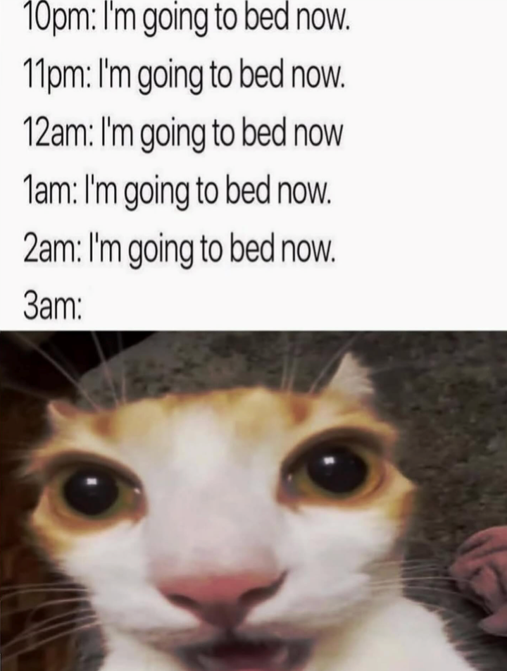 10pm: I'm going to bed now. 11pm: I'm going to bed now. 12am: I'm going to bed now 1am: I'm going to bed now. 2am: I'm going to bed now. 3am:
