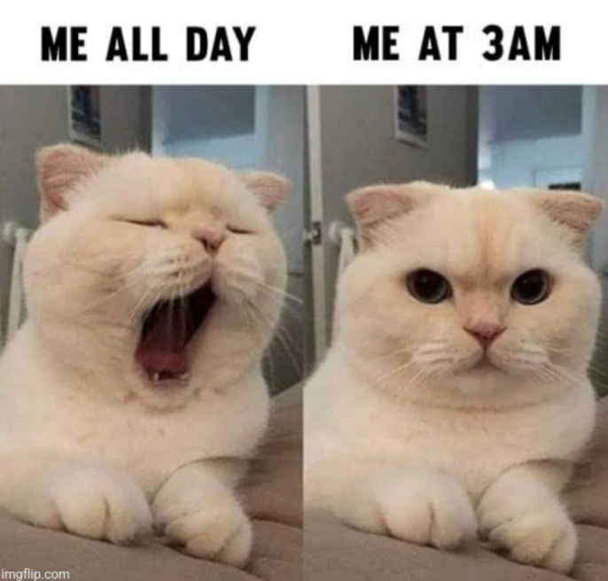 ME ALL DAY ME AT 3AM imgflip.com