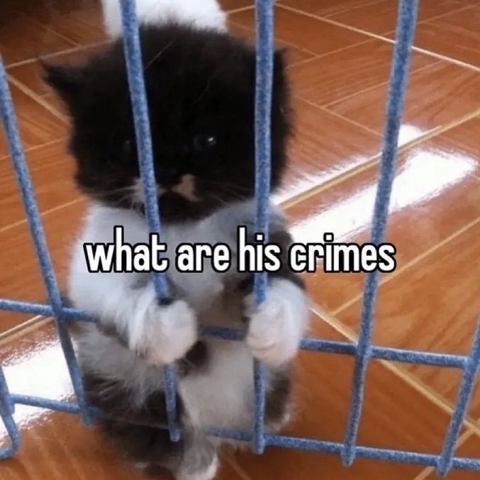 what are his crimes