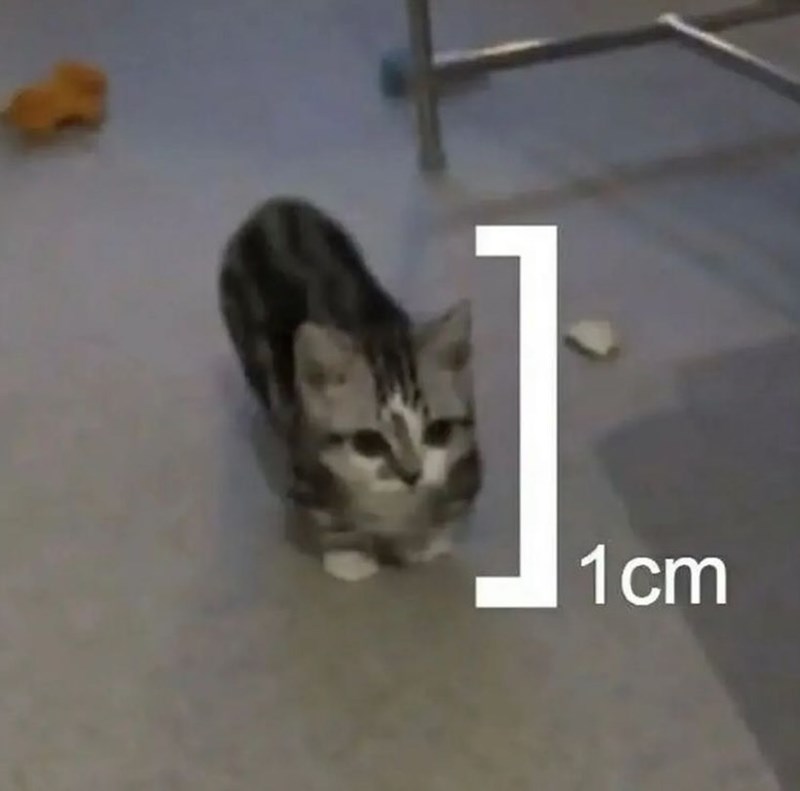 1cm