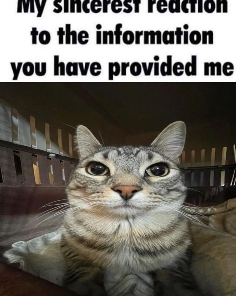 My sincerest eaction to the information you have provided me ་་།།།