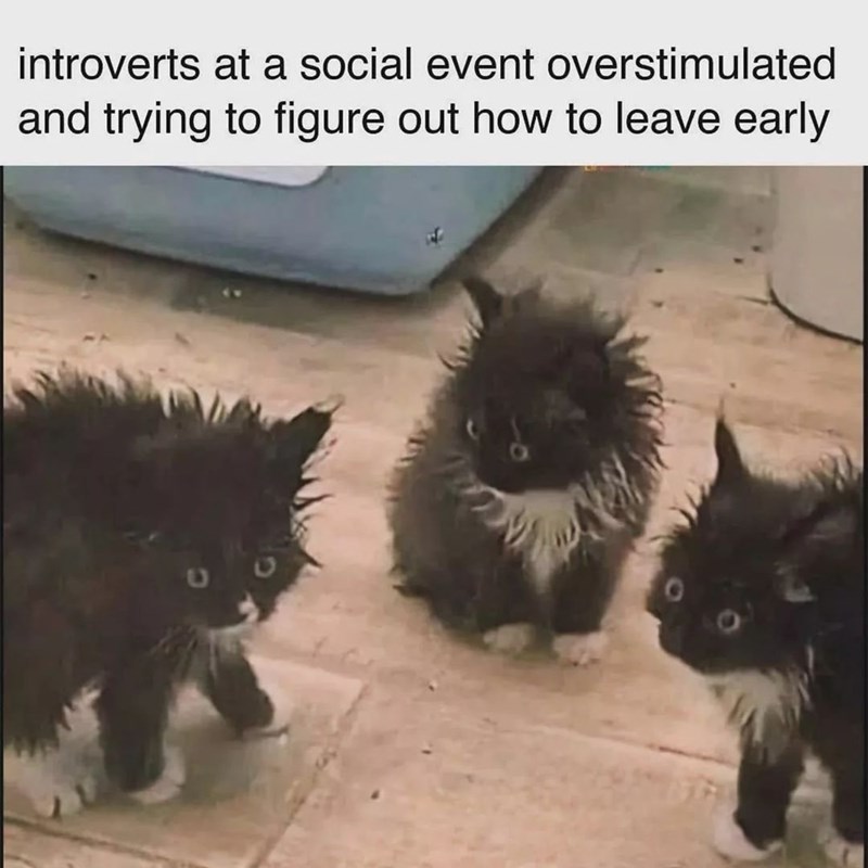 introverts at a social event overstimulated and trying to figure out how to leave early