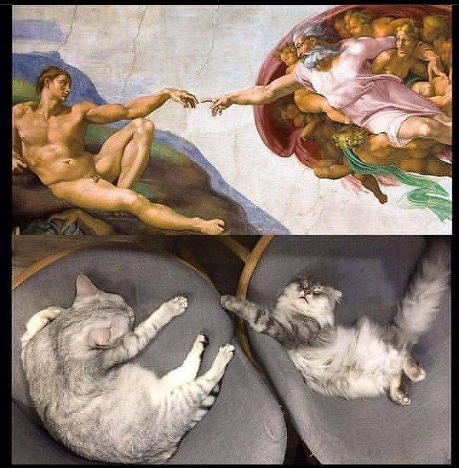 Cheezburger Image 10611988736