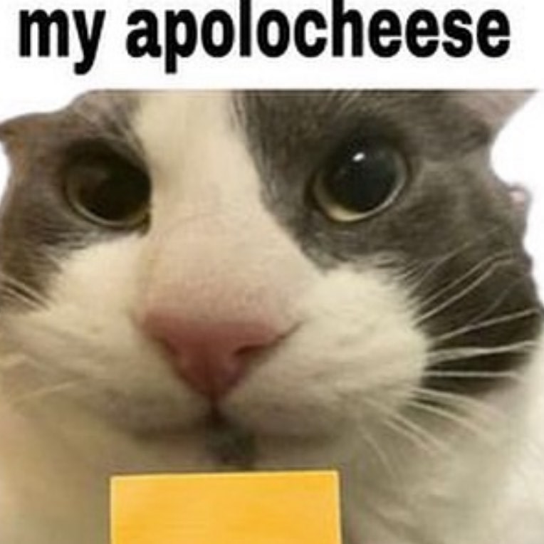 my apolocheese