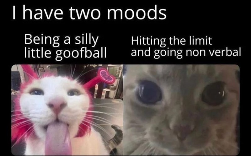 I have two moods Being a silly little goofball Hitting the limit and going non verbal