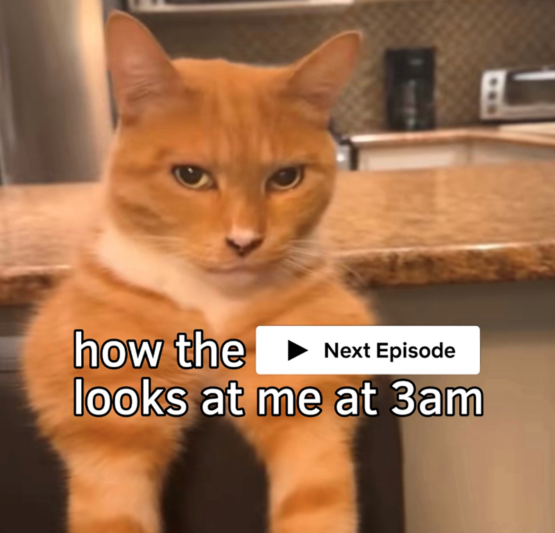 how the Next Episode looks at me at 3am BL