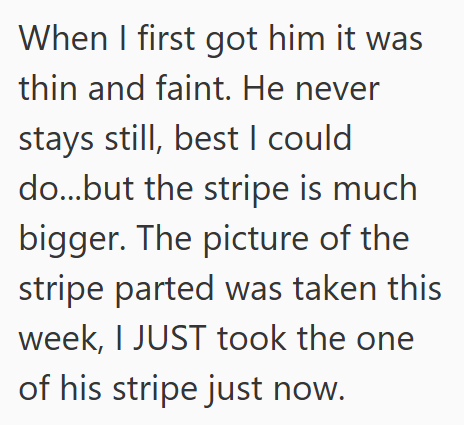 When I first got him it was thin and faint. He never stays still, best I could do...but the stripe is much bigger. The picture of the stripe parted was taken this week, I JUST took the one of his stripe just now.