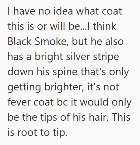 I have no idea what coat this is or will be...I think Black Smoke, but he also has a bright silver stripe down his spine that's only getting brighter, it's not fever coat bc it would only be the tips of his hair. This is root to tip.