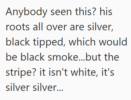Anybody seen this? his roots all over are silver, black tipped, which would be black smoke...but the stripe? it isn't white, it's silver silver...