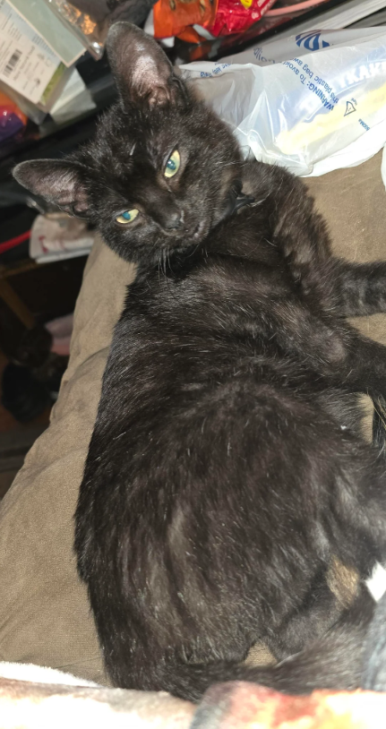 this plastic bag aw WARNING: To avoid