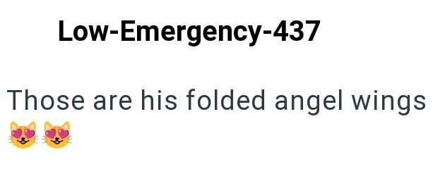 Low-Emergency-437 Those are his folded angel wings