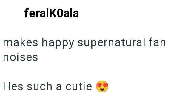 feralKoala makes happy supernatural fan noises Hes such a cutie