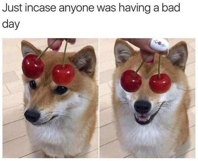 Just incase anyone was having a bad day