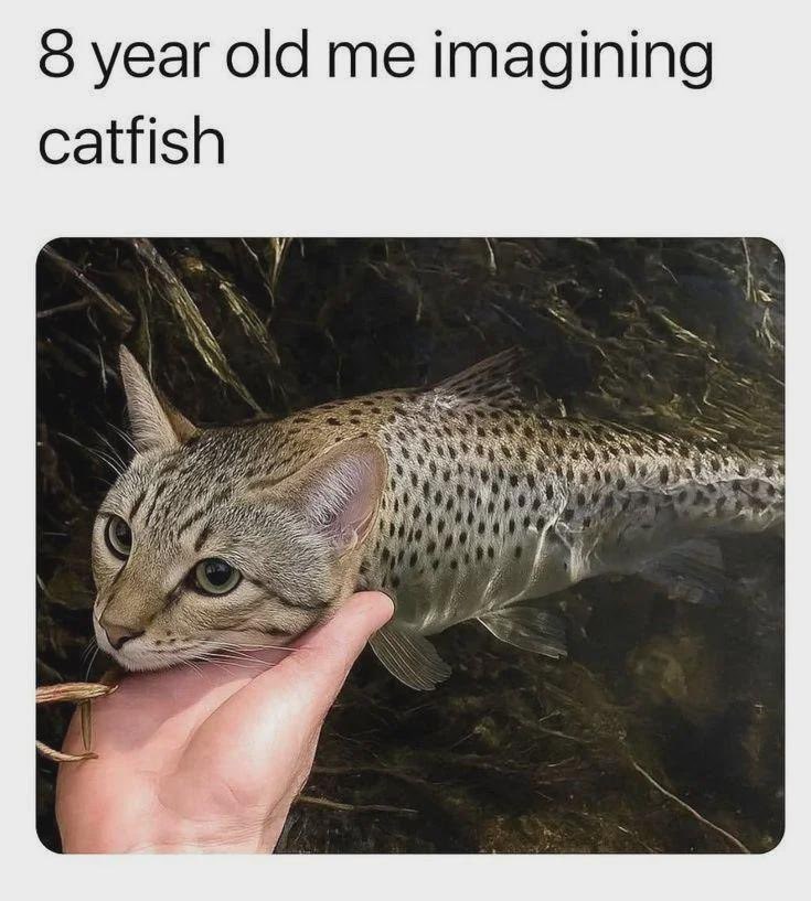 8 year old me imagining catfish