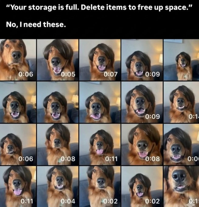 "Your storage is full. Delete items to free up space." No, I need these. 0:06 0:05 0:07 0:09 0:09 0:14 0:06 0:08 0:11 0:08 0:00 0:11 0:04 0:02 0:02 0:15