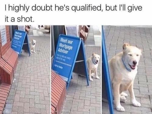 I highly doubt he's qualified, but I'll give it a shot. Meet our Mortgage Adviser