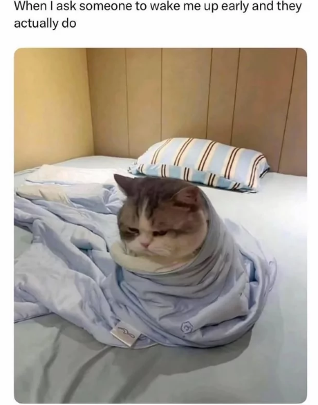 When I ask someone to wake me up early and they actually do