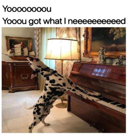 Yoooooooou Yooou got what I neeeeeeeeeed e