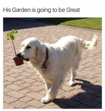 His Garden is going to be Great