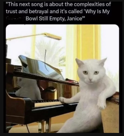 "This next song is about the complexities of trust and betrayal and it's called 'Why Is My From Bowl Still Empty, Janice"