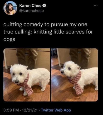 Karen Chee @karencheee quitting comedy to pursue my one true calling: knitting little scarves for dogs 3:59 PM 12/21/21 Twitter Web App