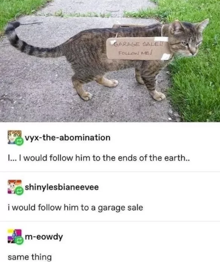 GARAGE SALE!! FOLLOW ME! vyx-the-abomination I... I would follow him to the ends of the earth.. shinylesbianeevee i would follow him to a garage sale m-eowdy same thing
