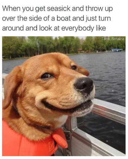 When you get seasick and throw up over the side of a boat and just turn around and look at everybody like Tank.Sinatra