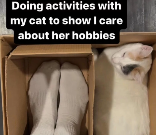 Doing activities with my cat to show I care about her hobbies