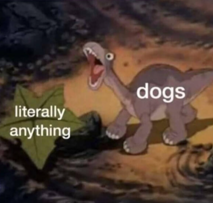 literally anything dogs