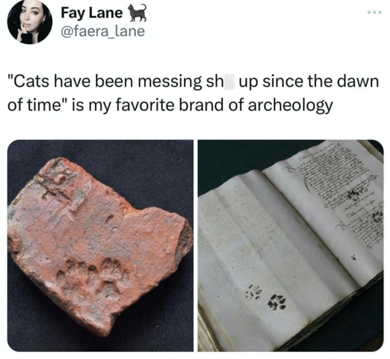 Fay Lane @faera_lane "Cats have been messing sh up since the dawn of time" is my favorite brand of archeology