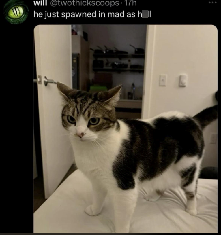 will @twothickscoops. 17h he just spawned in mad as h_|