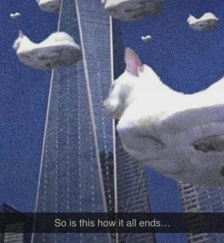 So is this how it all ends...