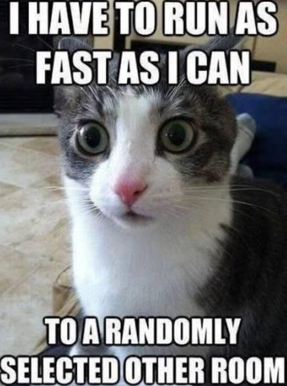 I HAVE TO RUN AS FAST AS I CAN TO A RANDOMLY SELECTED OTHER ROOM