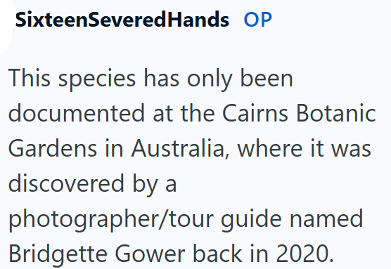 SixteenSevered Hands OP This species has only been documented at the Cairns Botanic Gardens in Australia, where it was discovered by a photographer/tour guide named Bridgette Gower back in 2020.