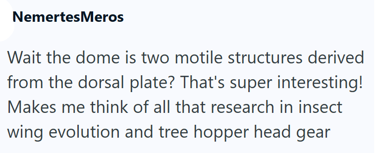 NemertesMeros Wait the dome is two motile structures derived from the dorsal plate? That's super interesting! Makes me think of all that research in insect wing evolution and tree hopper head gear