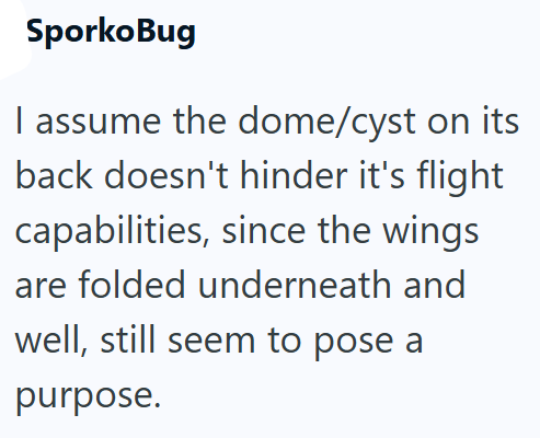 SporkoBug I assume the dome/cyst on its back doesn't hinder it's flight capabilities, since the wings are folded underneath and well, still seem to pose a purpose.