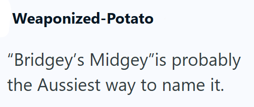 Weaponized-Potato "Bridgey's Midgey"is probably the Aussiest way to name it.