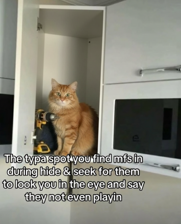 The typa spot you find mfs in during hide & seek for them to look you in the eye and say they not even playin